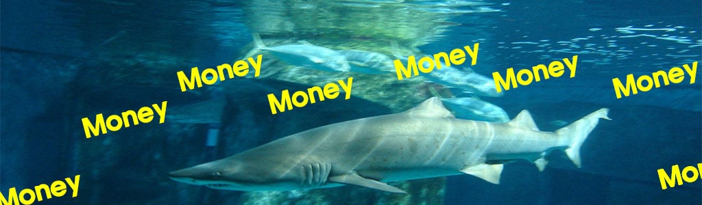quan điểm của cá mập trên thị trường tiền ảo